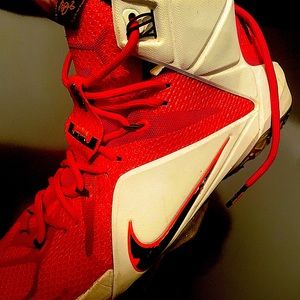 Nike Lebron